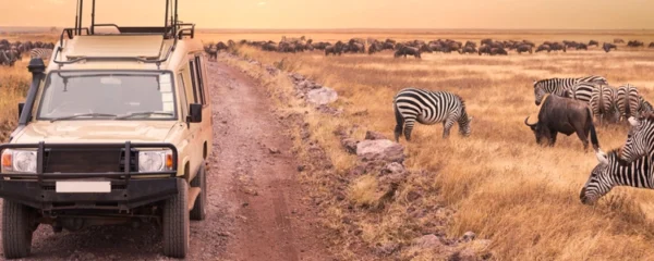 safari africain